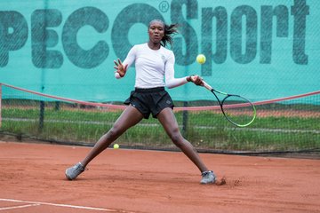 Noma Noha Akugue 240 - Klippeldon